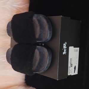 Coach Signature Slides